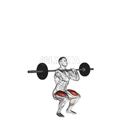 Barbell Clean-grip Front Squat demonstration