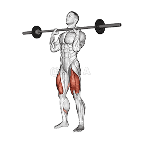 Front Chest Squat demonstration