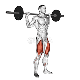 Barbell Full Squat demonstration