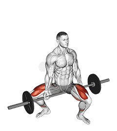 Barbell Jefferson Squat demonstration