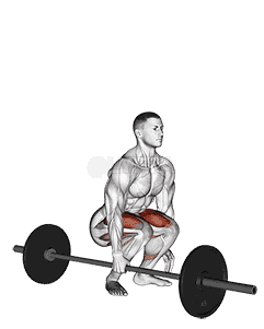 Barbell One Arm Side Deadlift demonstration
