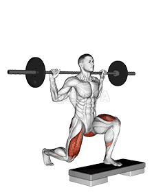 Barbell Rear Lunge  demonstration