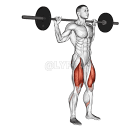 Rear Lunge demonstration