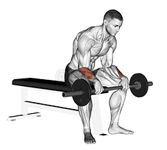 Barbell Revers Wrist Curl  demonstration