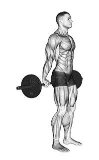 Barbell Standing Back Wrist Curl demonstration