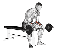 Barbell Wrist Curl  demonstration