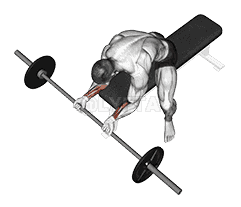 Wrist Curl demonstration