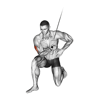 Concentration Extension demonstration