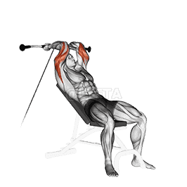 Incline Triceps Extension demonstration