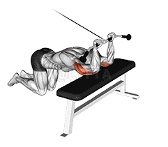Kneeling Triceps Extension demonstration