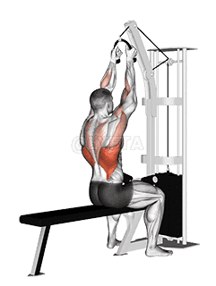 Cable Lateral Pulldown  demonstration