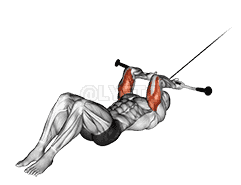 Cable Lying Triceps Extension  demonstration