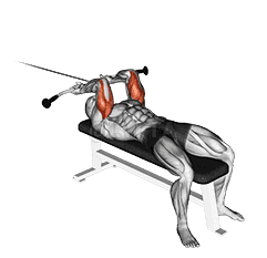 Lying Triceps Extension demonstration