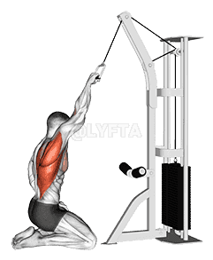 Cable One Arm Straight Back High Row  demonstration