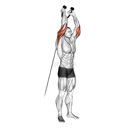 Overhead Triceps Extension demonstration