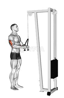 Cable Pushdown  demonstration