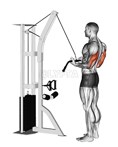 Cable Reverse-grip Pushdown demonstration