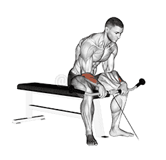 Cable Reverse Wrist Curl demonstration