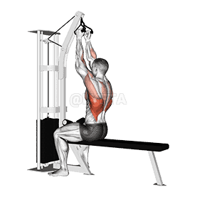 Cable Seated High Row  demonstration