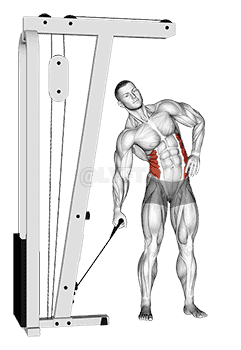 Cable Side Bend demonstration
