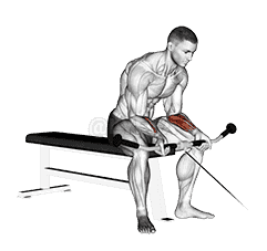 Cable Wrist Curl demonstration