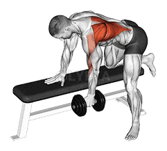 Dumbbell One Arm Bent-over Row demonstration