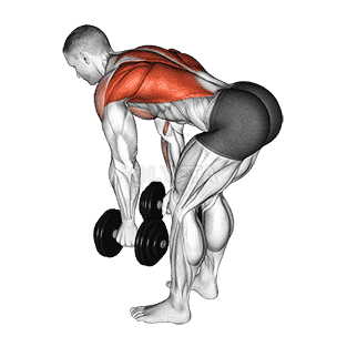 Bent Over Row demonstration