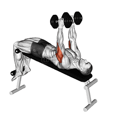 Dumbbell Decline Triceps Extension demonstration