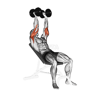Dumbbell Incline Triceps Extension demonstration