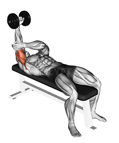 Dumbbell Lying One Arm Pronated Triceps Extension demonstration