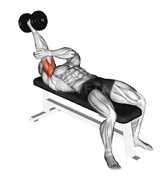 Dumbbell Lying One Arm Supinated Triceps Extension demonstration