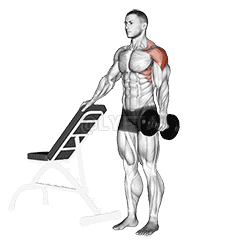 Dumbbell One Arm Lateral Raise with support demonstration
