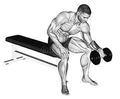 Dumbbell One arm Revers Wrist Curl demonstration