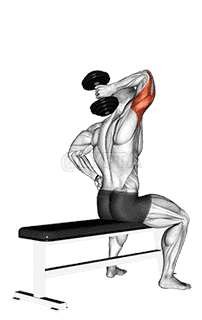 Dumbbell One Arm Triceps Extension  demonstration