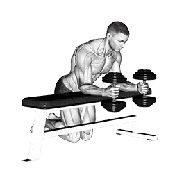 Dumbbell Over Bench Neutral Wrist Curl demonstration