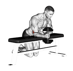 Dumbbell Over Bench One Arm  Neutral Wrist Curl demonstration