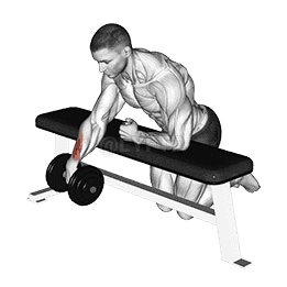 Dumbbell Over Bench One Arm Wrist Curl demonstration