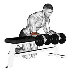 Dumbbell Over Bench Wrist Curl demonstration