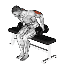 Seated Kickback demonstration