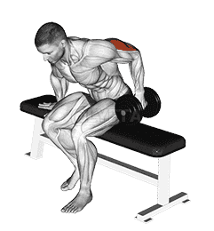 Dumbbell Seated One Arm Kickback demonstration