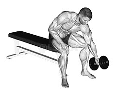 Dumbbell Seated One Arm Rotate demonstration