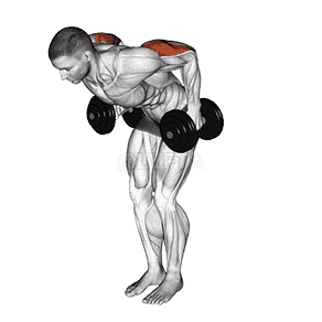 Dumbbell Standing Kickback demonstration