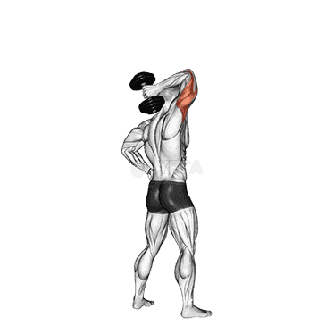 Dumbbell Standing One Arm Extension demonstration