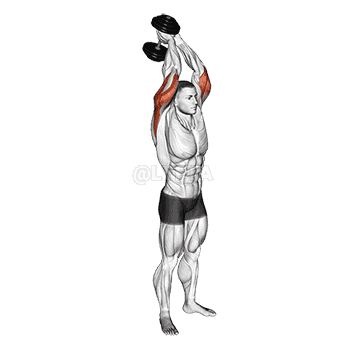 Dumbbell Standing Triceps Extension demonstration