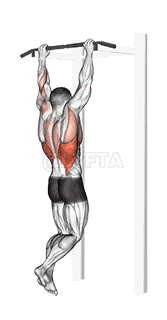 Gironda Sternum Chin demonstration