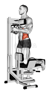 Lever Kneeling Twist demonstration