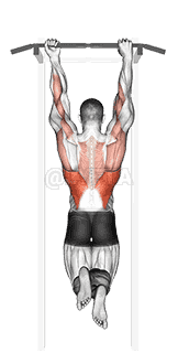 Mixed Grip Chin-up demonstration