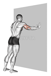 Push-up  demonstration