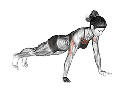 Push-up demonstration