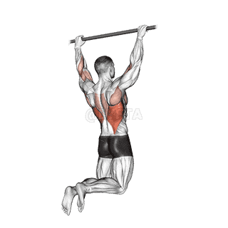 Rear Pull-up demonstration